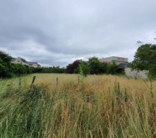 Terrain initialement