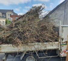 D&eacute;broussaillage