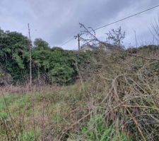 D&eacute;brousaillage