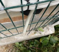 C?est bien de se vider chez son voisin, ici aussi