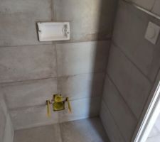 Faience toilette