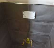 Faience toilette