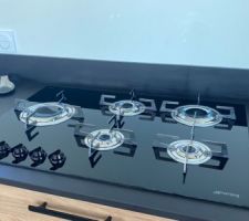 La plaque gaz enfin arrivée ! (Commandée en janvier?). Mais l?attente valait le coup, avec les flames annulaire verticales c?est le top :)
