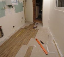 Apres avoir remis le sol de niveau de 9cm de dénivelation , pose de lames pvc imitation parquet