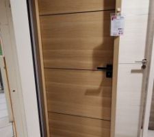 Porte fin de chantier choisi chez Lapeyre