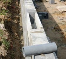 Vide sanitaire