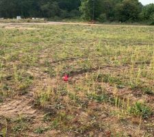 Pose des piquets pour l'emplacement de la maison