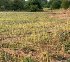 Pose des piquets pour l'emplacement de la maison