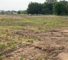 Pose des piquets pour l'emplacement de la maison