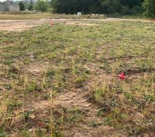 Pose des piquets pour l'emplacement de la maison