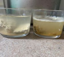 Test enduit ancien : platre gros & chaux aérienne VS chaux hydraulique