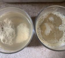 Test enduit ancien : platre gros & chaux aérienne VS chaux hydraulique