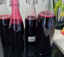 Sirop de nos casis