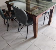 Table palissandre + verre teinté et chaises dans les mêmes tons