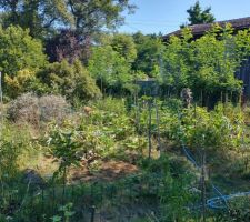 Vue potager