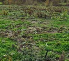 Zone technique du terrain