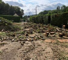 Seconde &eacute;tape, d&eacute;biter les arbres au sol