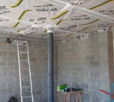 Isolation et pare vapeur plafond extension