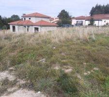 Terrain nu avant l'ouverture de chantier.