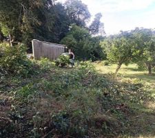 Préparation terrain 3