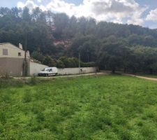 Le terrain vierge de toute occupation