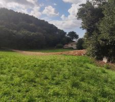 Le terrain vierge de toute occupation