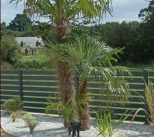 Plantations