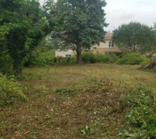 Terrain apr&egrave;s d&eacute;broussaillage