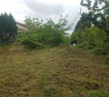 Vue du terrain après débroussaillage