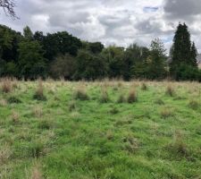 Voil&agrave; le terrain, &eacute;tude g&eacute;otechnique ok, &eacute;tude assainissement en cours !