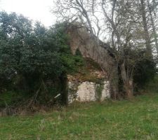 L'arrière de la grange avec cette petite construction rigolote dont je ne mesure pas l'utilité puisqu'elle est pleine de terre. Peut-être pour soutenir le pignon ?
Eh bien non. C'est un four à pain très bien conservé. Génial.
