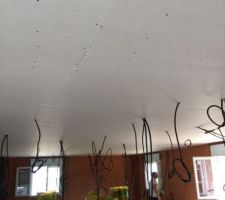 Plafond