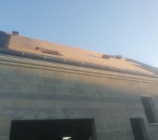Bonjour,

Toujours pas de panneaux solaire le chantier est à l'arrêt. Le dernier velux n'est pas mis non plus.

Bonne journée à tous.