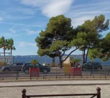 Les voiles de Saint Tropez au loin (vues des Issambres), il fait beau même en octobre dans le Var, je ne vais pas m'en plaindre, pour respecter la consigne de 19° cet hiver, je vais être obligé de mettre la clim...