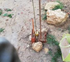 Borne 11 prot&eacute;g&eacute;e