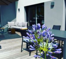 L'&eacute;t&eacute; &agrave; Etercy