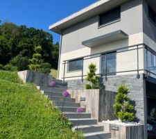 Escalier achevé : façade muret parée, allium fleuris et cyprès taillés