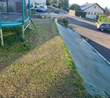 Projet haies laurier pour sécuriser l'arrière du jardin pour fin octobre