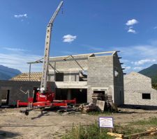 La grue du charpentier ne action!! un vrai jouet qui peut se déplacer au sol avec la télécommande !