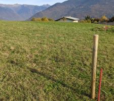 Notre terrain, photo 1