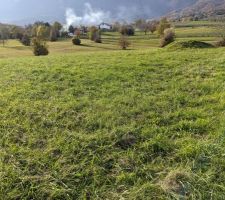 Notre terrain, photo 2