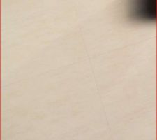 Carrelage choisi pour le hall, le séjour et la cuisine en 50*50