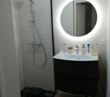 Installation en cours d une paroi de douche