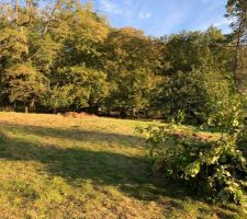 Préparation terrain