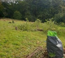 Préparation terrain