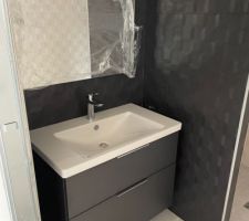 Meuble de la salle d'eau 1