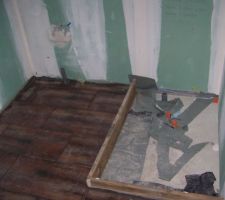 Salle de douche du RDC