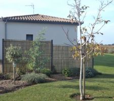 De ce coté la cloture en limite separative remplit sa fonction