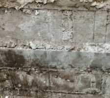 Réparation désordre DELTA MS après expertise contradictoire à la demande de COFIDIM
