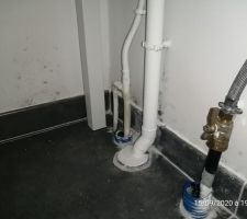 Humidité dans le cellier